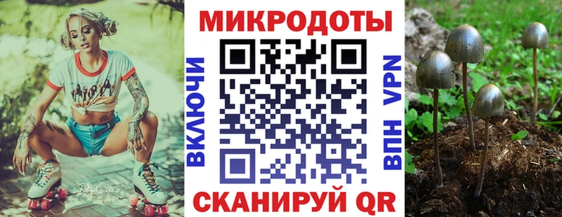 Купить где  Миасс  Псилоцибиновые грибы мицелий 